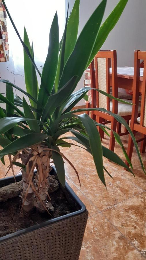 Bajusz Vendeghaz Hotel Tornyosnémeti Екстериор снимка