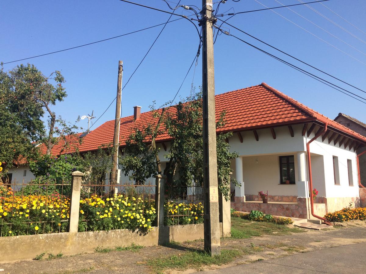 Bajusz Vendeghaz Hotel Tornyosnémeti Екстериор снимка