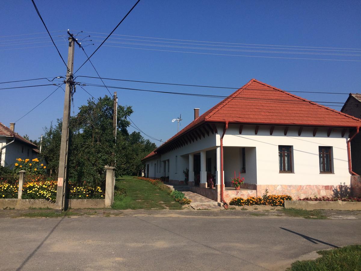 Bajusz Vendeghaz Hotel Tornyosnémeti Екстериор снимка