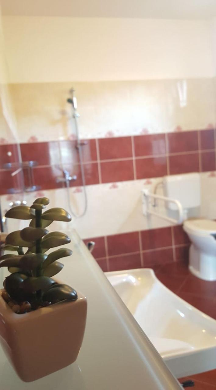 Bajusz Vendeghaz Hotel Tornyosnémeti Екстериор снимка